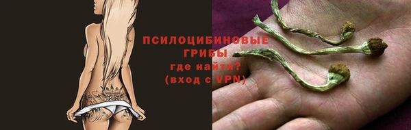 apvp Володарск