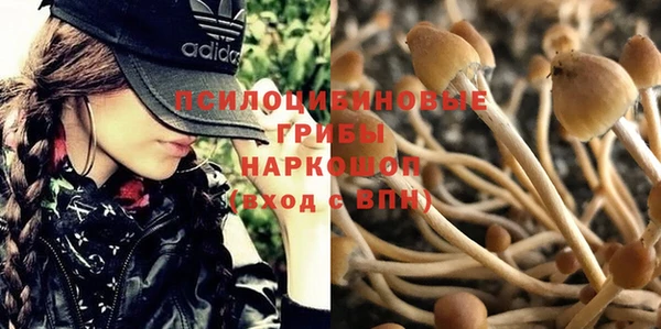 mdma Вязьма